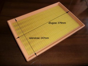 Filtr powietrza Case IH Internacional David Brown 134584216