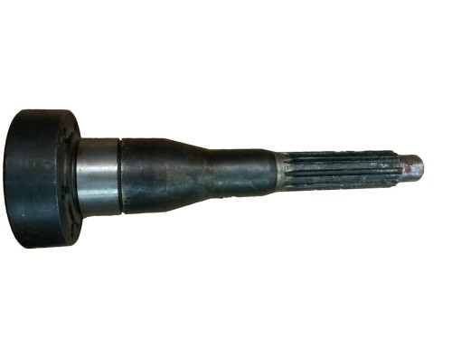 80260169.jpg