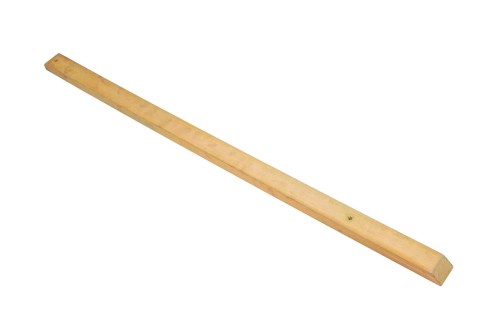 645098.jpg
