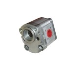 Pompa hydrauliczna Massey Ferguson 1717430M91