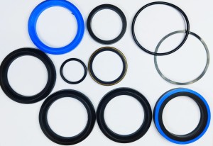 Zestaw uszczelnień siłownika Massey Ferguson 50 B 1810252M92