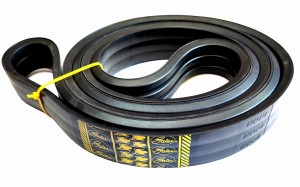 PAS ZESPOLONY GATES MASSEY FERGUSON 1720205M