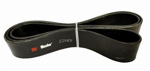 Z21401.jpg