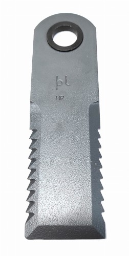 755875.jpg