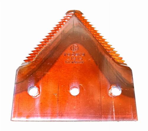 309197RAD.jpg