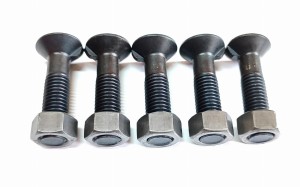 ŚRUBA PŁUŻNA Z JEDNYM WYPUSTEM M12x50 mm S.78832 5 SZTUK