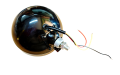 870311017 (2).png