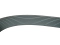 Pasek klinowy wielorowkowy Case International J911562 8PK1460