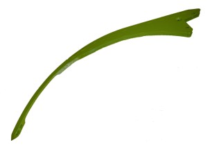 Iglica igła Claas Quadrant 1100 1150 1150 RC 830344