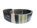 Pas klinowy Claas Lexion 667881 GATES